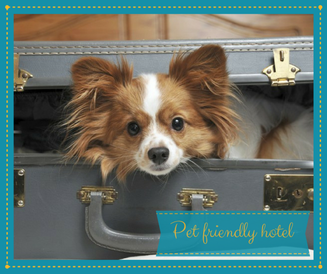 Pet Friendly